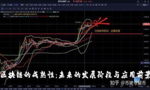 区块链的成熟性：未来的发展阶段与应用前景