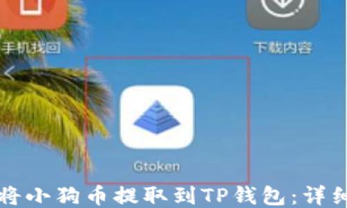 
如何将小狗币提取到TP钱包：详细指南