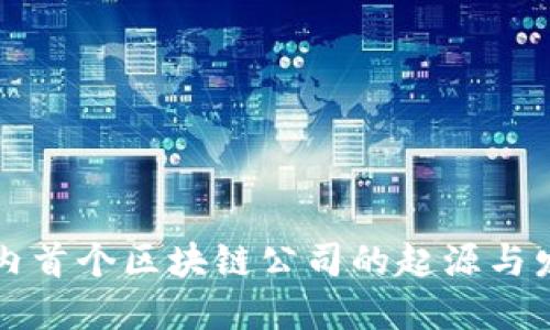国内首个区块链公司的起源与发展