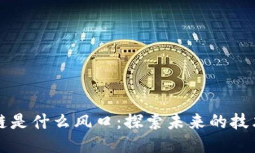 区块链是什么风口：探索未来的技术趋势