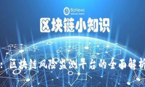 : 区块链风险监测平台的全面解析