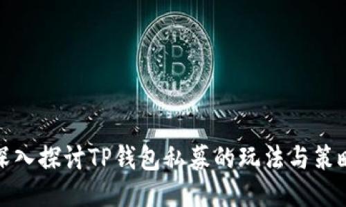 深入探讨TP钱包私募的玩法与策略