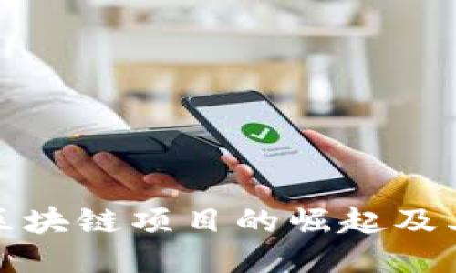 新型区块链项目的崛起及其影响