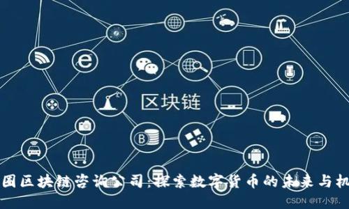 币圈区块链咨询公司：探索数字货币的未来与机遇