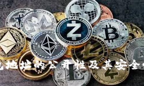 TP钱包地址的公开性及其安全性分析