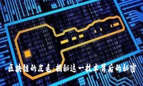 区块链的皮毛：揭秘这一技术背后的秘密