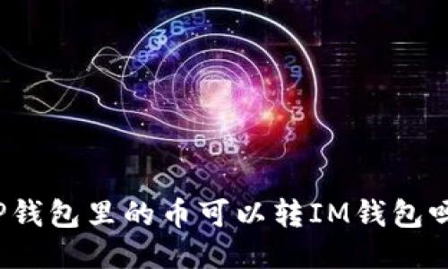 TP钱包里的币可以转IM钱包吗？