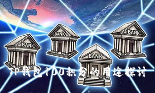 TP钱包100积分的用途探讨