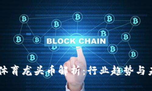 区块链体育龙头币解析：行业趋势与未来展望