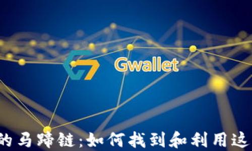 
探索TP钱包的马蹄链：如何找到和利用这一加密资产？