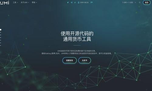 

区块链黑客现象深度解析：技术、风险与发展趋势