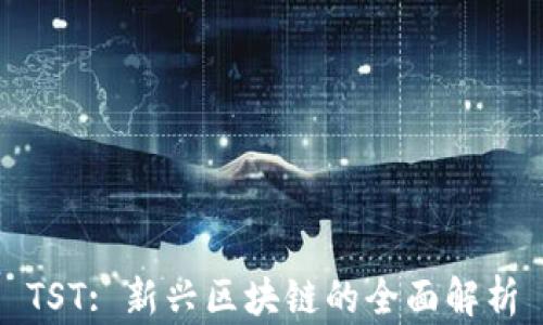 
TST: 新兴区块链的全面解析