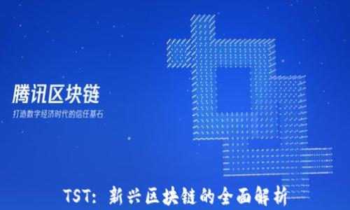 
TST: 新兴区块链的全面解析