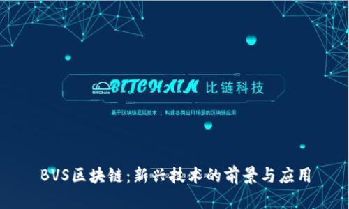 BVS区块链：新兴技术的前景与应用
