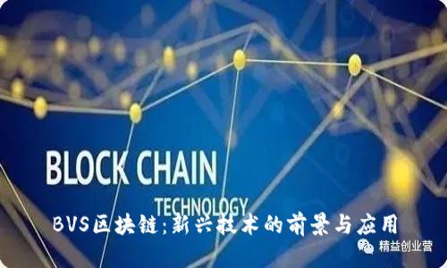BVS区块链：新兴技术的前景与应用