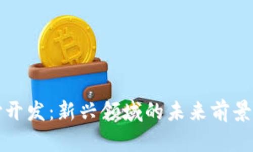 区块链支付开发：新兴领域的未来前景与专业思考