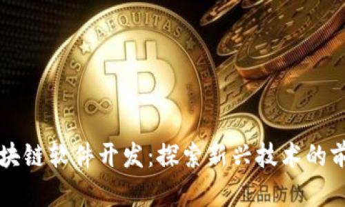 区块链软件开发：探索新兴技术的前沿