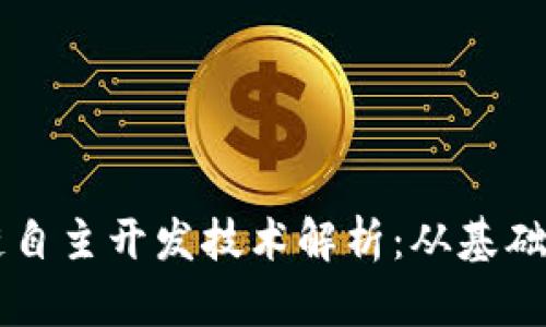 区块链自主开发技术解析：从基础到应用