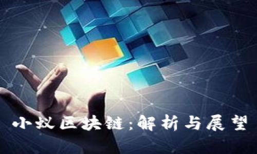 小蚁区块链：解析与展望