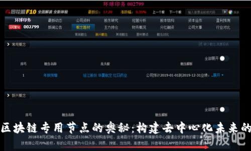 探索区块链专用节点的奥秘：构建去中心化未来的基石