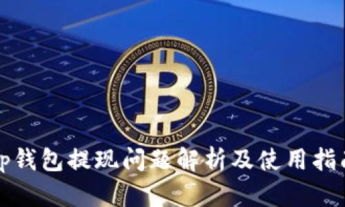tp钱包提现问题解析及使用指南
